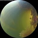 ./images/calvert/underwater/20260904/underwater20260904_163001M.jpg