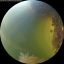 ./images/calvert/underwater/20260904/underwater20260904_163501M.jpg