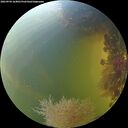 ./images/calvert/underwater/20260904/underwater20260904_164001M.jpg