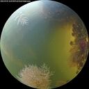 ./images/calvert/underwater/20260904/underwater20260904_164501M.jpg