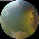 ./images/calvert/underwater/20260904/underwater20260904_165001M.jpg