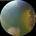 ./images/calvert/underwater/20260904/underwater20260904_165501M.jpg