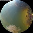 ./images/calvert/underwater/20260904/underwater20260904_170002M.jpg