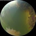 ./images/calvert/underwater/20260904/underwater20260904_172001M.jpg