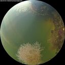 ./images/calvert/underwater/20260904/underwater20260904_174002M.jpg
