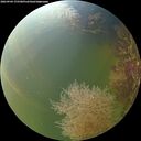 ./images/calvert/underwater/20260904/underwater20260904_175501M.jpg