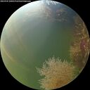 ./images/calvert/underwater/20260904/underwater20260904_180001M.jpg
