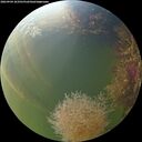 ./images/calvert/underwater/20260904/underwater20260904_183501M.jpg