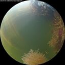 ./images/calvert/underwater/20260904/underwater20260904_184001M.jpg