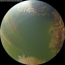 ./images/calvert/underwater/20260904/underwater20260904_184501M.jpg