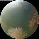 ./images/calvert/underwater/20260904/underwater20260904_190501M.jpg