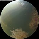 ./images/calvert/underwater/20260904/underwater20260904_192501M.jpg