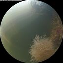 ./images/calvert/underwater/20260904/underwater20260904_193001M.jpg