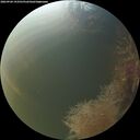 ./images/calvert/underwater/20260904/underwater20260904_193501M.jpg