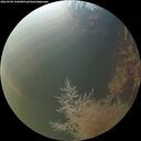 ./images/calvert/underwater/20260904/underwater20260904_194001M.jpg