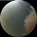 ./images/calvert/underwater/20260904/underwater20260904_195002M.jpg
