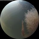 ./images/calvert/underwater/20260904/underwater20260904_195501M.jpg