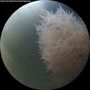 ./images/calvert/underwater/20260904/underwater20260904_200501M.jpg