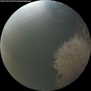 ./images/calvert/underwater/20260904/underwater20260904_201501M.jpg