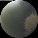 ./images/calvert/underwater/20260904/underwater20260904_202001M.jpg