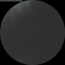 ./images/calvert/underwater/20260905/underwater20260905_062002M.jpg