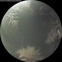 ./images/calvert/underwater/20260905/underwater20260905_064002M.jpg