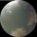 ./images/calvert/underwater/20260905/underwater20260905_064501M.jpg