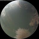 ./images/calvert/underwater/20260905/underwater20260905_065001M.jpg