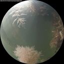 ./images/calvert/underwater/20260905/underwater20260905_071001M.jpg