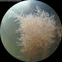 ./images/calvert/underwater/20260905/underwater20260905_073001M.jpg