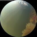 ./images/calvert/underwater/20260905/underwater20260905_081501M.jpg