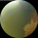 ./images/calvert/underwater/20260905/underwater20260905_082001M.jpg