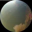 ./images/calvert/underwater/20260905/underwater20260905_082501M.jpg