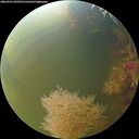 ./images/calvert/underwater/20260905/underwater20260905_090501M.jpg