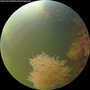 ./images/calvert/underwater/20260905/underwater20260905_091001M.jpg