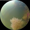 ./images/calvert/underwater/20260905/underwater20260905_092001M.jpg