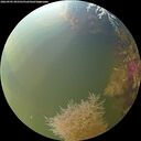 ./images/calvert/underwater/20260905/underwater20260905_092501M.jpg