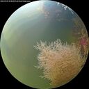 ./images/calvert/underwater/20260905/underwater20260905_094002M.jpg