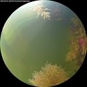 ./images/calvert/underwater/20260905/underwater20260905_100501M.jpg