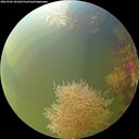 ./images/calvert/underwater/20260905/underwater20260905_101001M.jpg