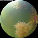 ./images/calvert/underwater/20260905/underwater20260905_104001M.jpg