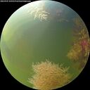 ./images/calvert/underwater/20260905/underwater20260905_104501M.jpg