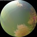 ./images/calvert/underwater/20260905/underwater20260905_105001M.jpg