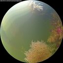 ./images/calvert/underwater/20260905/underwater20260905_105501M.jpg