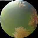 ./images/calvert/underwater/20260905/underwater20260905_110001M.jpg