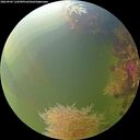 ./images/calvert/underwater/20260905/underwater20260905_110501M.jpg