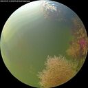 ./images/calvert/underwater/20260905/underwater20260905_111001M.jpg