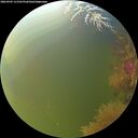 ./images/calvert/underwater/20260905/underwater20260905_111501M.jpg