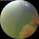 ./images/calvert/underwater/20260905/underwater20260905_112001M.jpg