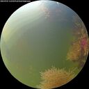 ./images/calvert/underwater/20260905/underwater20260905_112502M.jpg